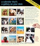 Image de Dog 2015 Gallery Calendar (Workman Gallery Calendar)