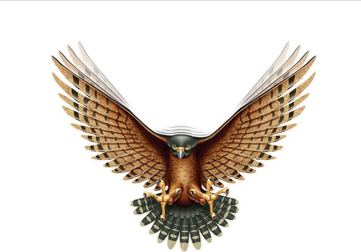 Autographix 1000537A Falcon TH-169-1 Graphic Decal (Black and Brown)