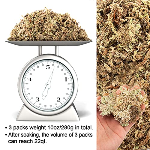10 OZ Orchid Sphagnum Moss Dried Peat Moss for Potted Plants Mix Soil