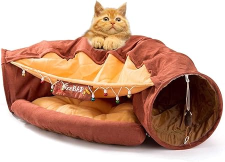 bernese mountain dog clothing