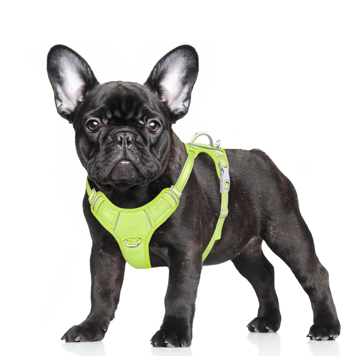 BARKBAY No Pull Dog Harness Large Reflective Dog Harness with Front Clip and Easy Control Handle for Walking Training Running with ID tag Pocket(Sunlight,S) Image