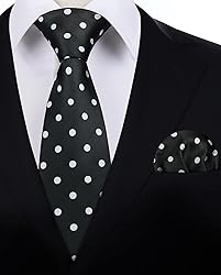 HISDERN Mens Ties Classic Black Tie and Pocket