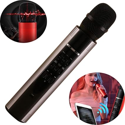 2 in 1 microphone and speaker