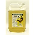 1 Gallon 100% Natural Castile Soap