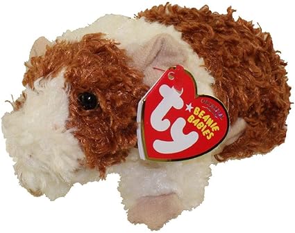ty beanie guinea pig