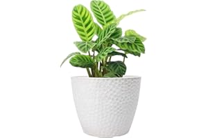 LA JOLIE MUSE Outdoor Planters Indoor Flower Pots - 9.4 Inch Planter Pot Containers, White Plant Pots,Honeycomb