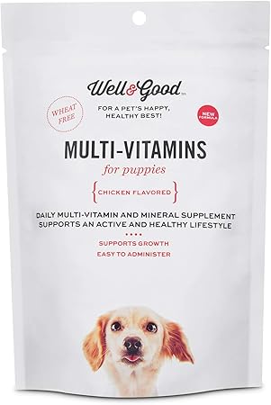best vitamins for labrador puppy