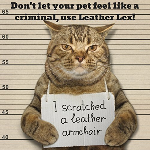 5 Leather+Vinyl+Repair+Kit+LeatherLex