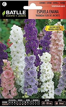 Semillas de Flores - Espuela Flor de Jacinto enana variada ...
