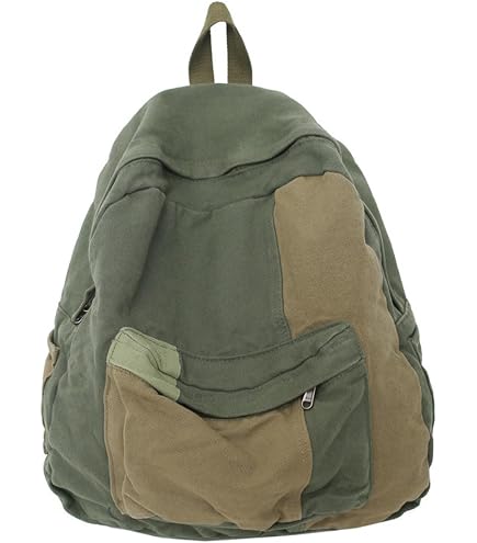 Amazon.com: KAOBIO Vintage Y2k Aesthetic Canvas Backpack for Women