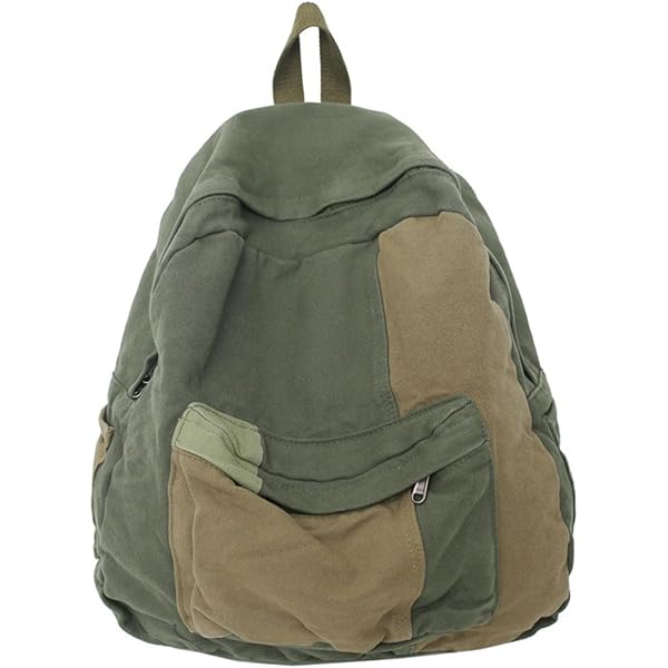 Amazon.com: KAOBIO Vintage Y2k Aesthetic Canvas Backpack for Women