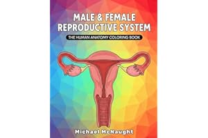 Male & Female Reproductive System: The Human Anatomy Coloring Book