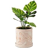 ZICZAMLA 4 inch Plant Pot - Terra Cotta Flower Planters Indoor - Modern Succulents Containers with Drain Hole & Saucer, Decorate Home, Office (Pink)