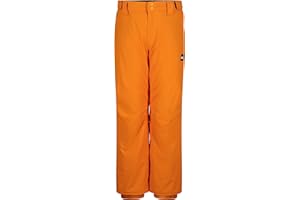 Quiksilver boys Heavyweight Ski Snow Estate Pant, Insulated & Waterproof