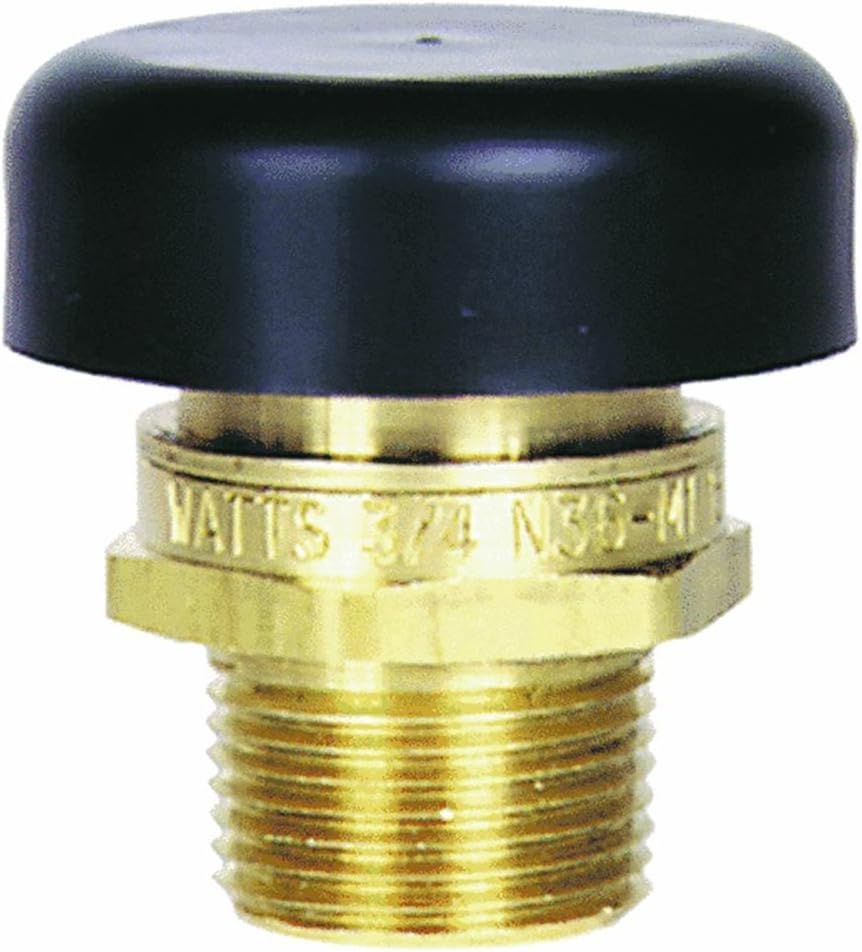 Watts Water Technologies LFN36M1 Water Service Vacuum Relief Valve 1/2