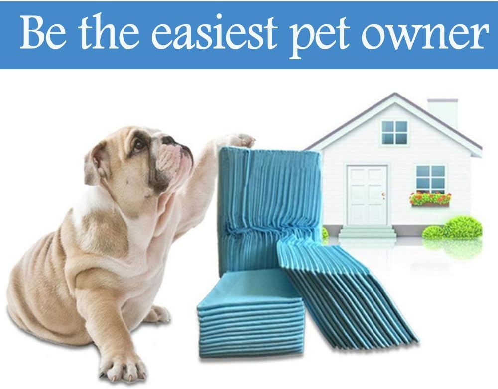 disposable dog mats