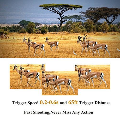 TOP-MAX 1080P 16MP Trail Camera,Digital Wildlife Hunting Game Camera -Waterproof Trail Cam with 120° PIR Sensor/No Glow Infrared Night Version/Motion Activated for Wildlife and Home Security
