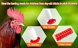 VandanCoop 1kg Chick Feeder & 1L Waterer Set Poultry Pigeon Coop Automatic view 9
