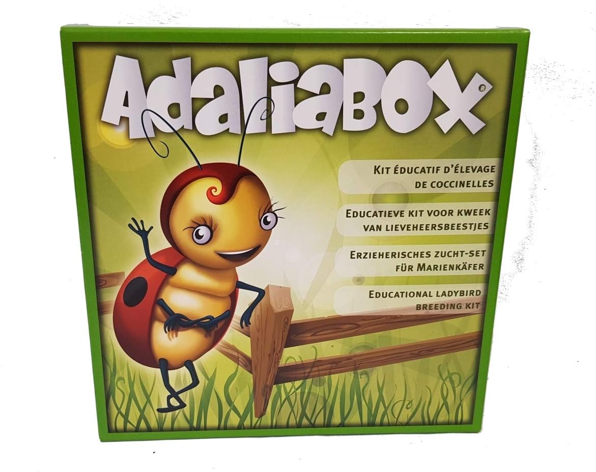 Ladybird Breeding Kit with Voucher Worth £15.99 for Larvae Plus Food