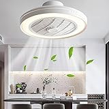 LED Ceiling Light Dimmable with Fan, Ceiling Fan