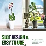 Garden Mile Heavy Duty Circular Plant Support Rings 10pc Spiral Stakes view 4
