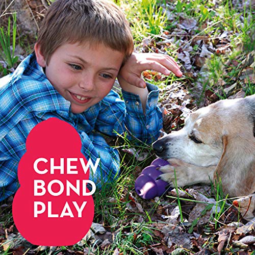 KONG Senior Dog Toy Gentle Natural Rubber Fun to Chew, Chase and