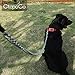 CtopoGo Heavy Duty Metal Dog Leash With Padded Handle for Large & Medium Size Dogs (6 ft. x 3.0 mm (25-120 lbs.))