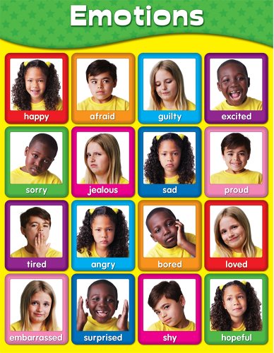 Carson Dellosa Emotions Chart (114055)