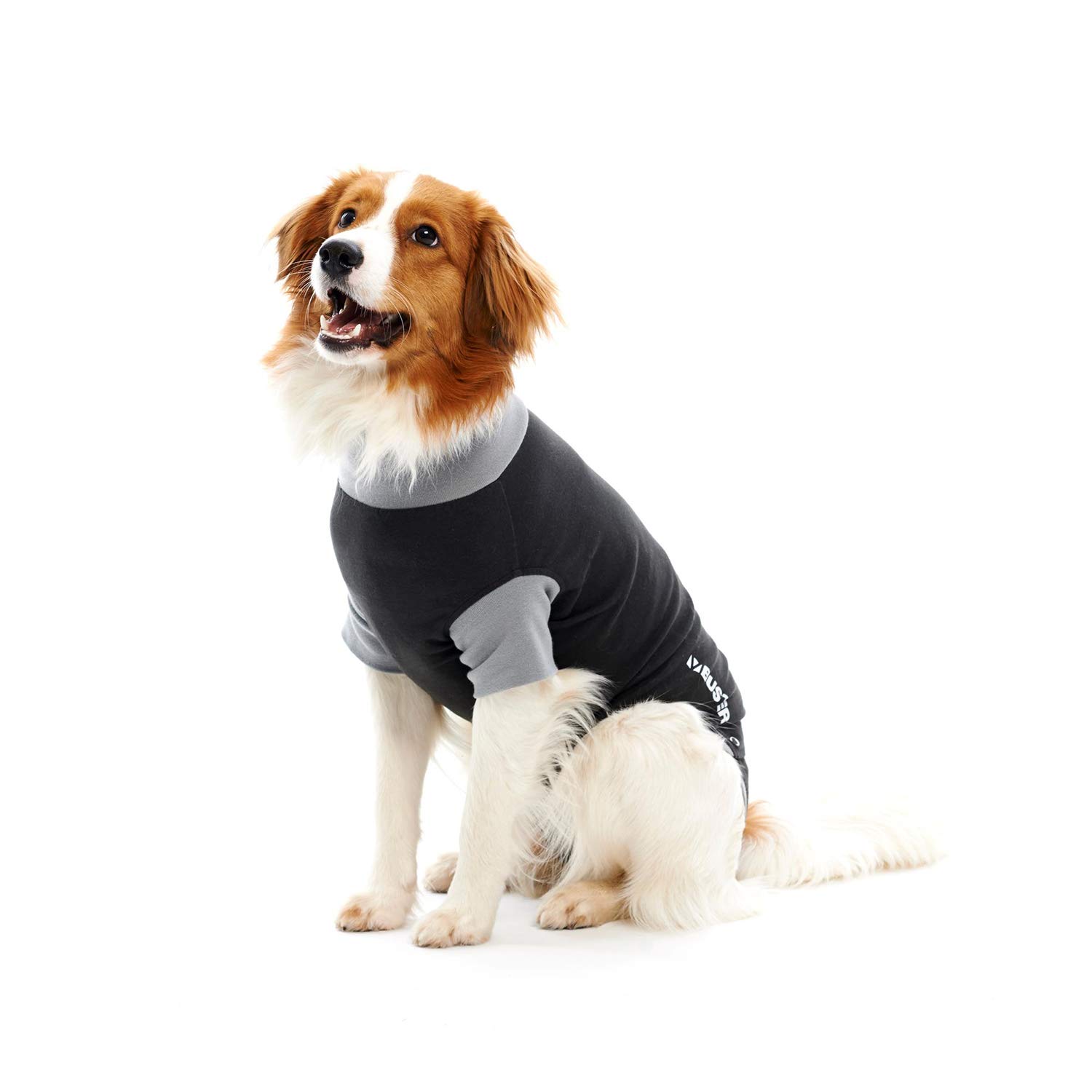 Buster Classic Body Suit for Dogs, Large, Black/Grey clear
