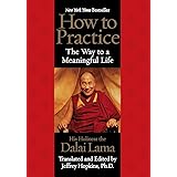How to Practice: The Way to a Meaningful Life