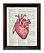 Anatomical Human Heart in Red- Printed on Upcycled Vintage Dictionary Paper - 8