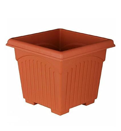 ASFA Deals Plastic Square Planter 10 inch (Pack of 3)
