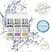 Anti-Aging Treatment Serum Trio - Hyaluronic Acid - Retinol Serum and Vitamin C - 3 Pack - Derma nu - 1.25 fl oz