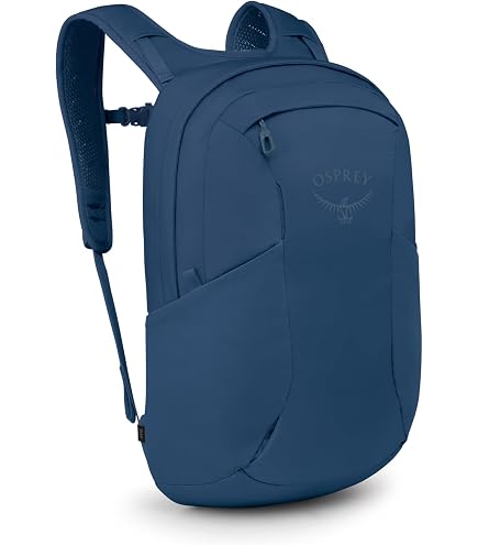 Osprey Farpoint 40L Men's Travel Backpack