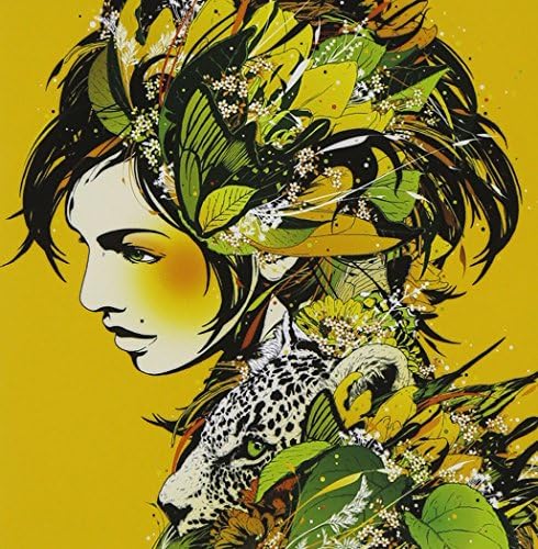 DJ OKAWARI - COMPASS & High Noon（LP Set） Amazon.com: Compass: CDs & Vinyl