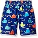Wippette Boys' Whale Rash Guard Set