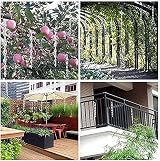 Hxeilzge 12Pcs Reflective Bird Deterrent Rods Wind Twisting Scare Rods 30cm view 7