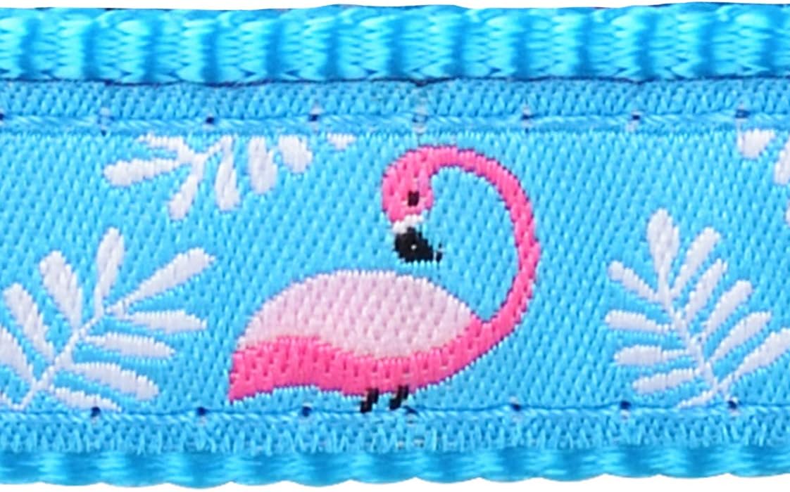 Red Dingo Bucklebone Dog Collar Design, Flamingo Turquoise, X-Small 15mm, XS (Pack of 1) - Image 4