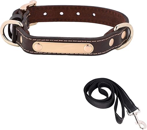 name tag for cat collar