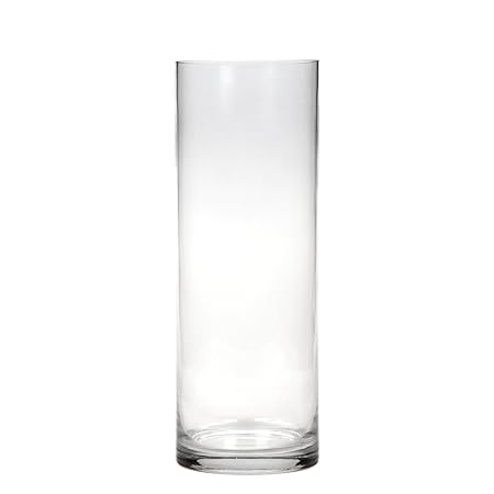 Hosley S 13 75 High Clear Glass Vase Ideal Gift Or Use For