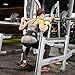 Nordic Lifting Weightlifting Belt (5-Inch) for Crossfit & Powerlifting - Prevent Injury & Improve Posture 1 Year Warranty