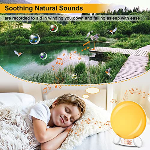 DreamSky Digital Alarm Clock Radio Wake Up Light Clock for Bedroom