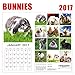 2017 Bunnies Calendar - 12 x 12 Wall Calendar - 210 Free Reminder Stickers