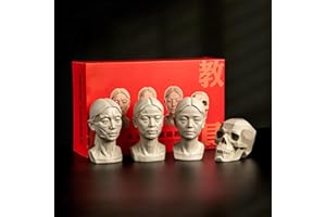 FLUEFOWL 4Pack Standard Planar Head, Model for Artists Learn Planes of Face, Human Manikin Head for Medical and Artistic Drawing Sketching Painting, Color White (Middle Aged Female)