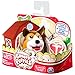 Chubby Puppies Single Pack Collie