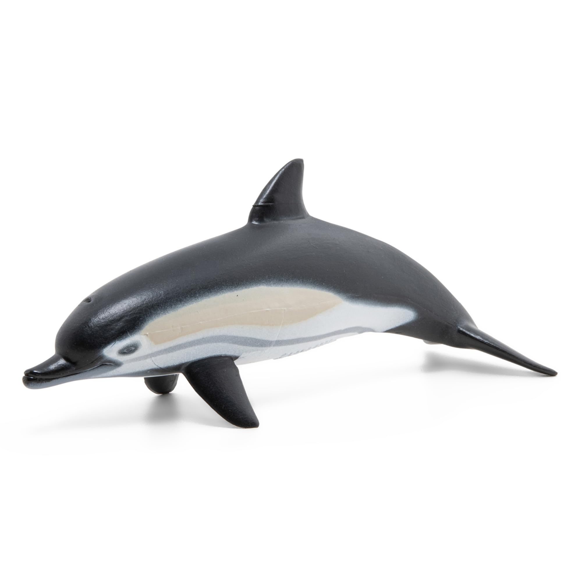 Papo - Realistic Common Dolphin Figure - Ages 3+ - Marine Life Collection - Educational Play Marine Animals - Gift Idea Toy for Girls and Boys
