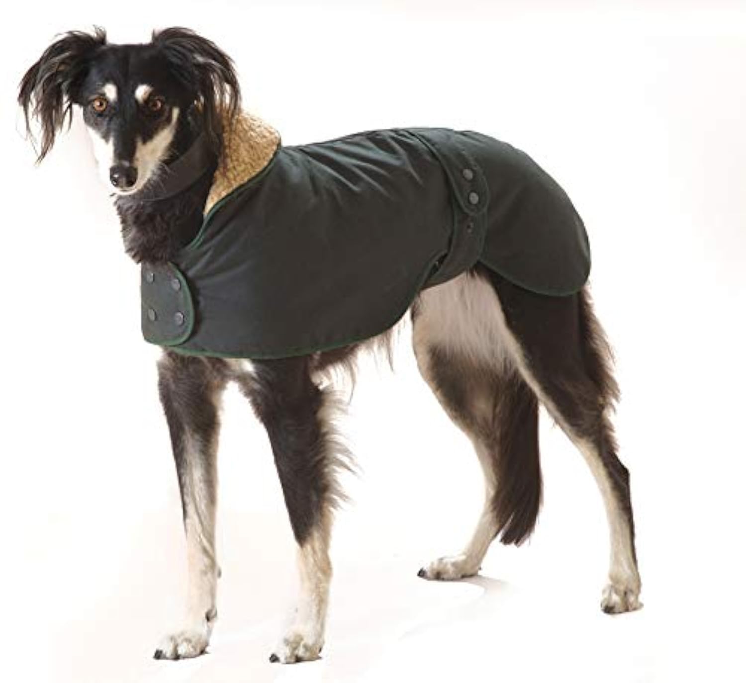 Cosipet Greyhound Hunter, 32-inch/ 81 cm, Green