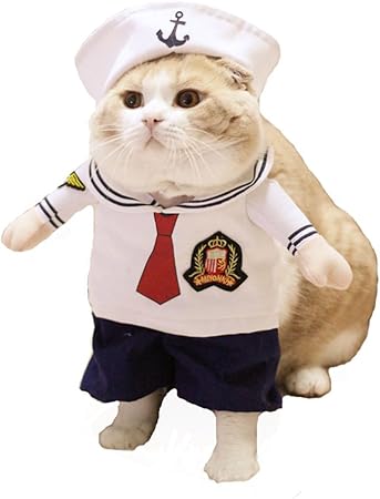 dog sailor suit