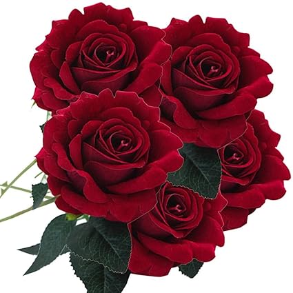 Résultat de recherche d'images pour "une fleur rose"