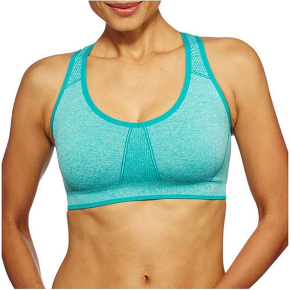 danskin now fitted sports bra